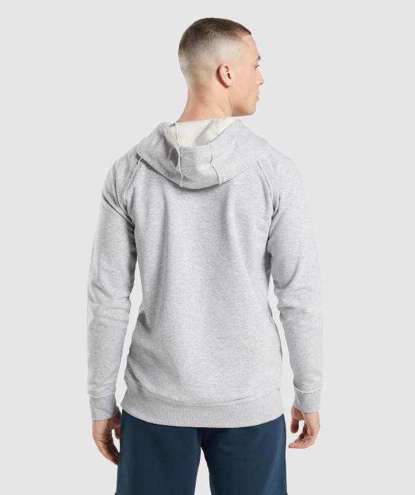 Panske Mikiny S Kapucňou Gymshark Legacy Svetlo Siva | XN1738206